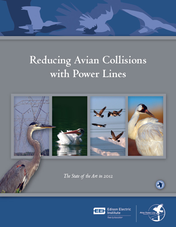 Reducing Avian Collisions with Power Lines: The State of the Art in 2012