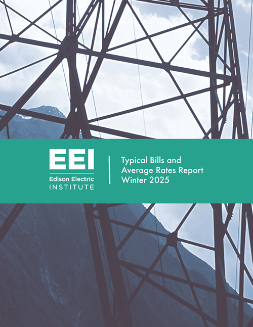Typical Bills and Average Rates Report - Winter 2025