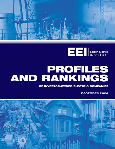 Profiles and Rankings of Investor-Owned Electric Companies - 2024