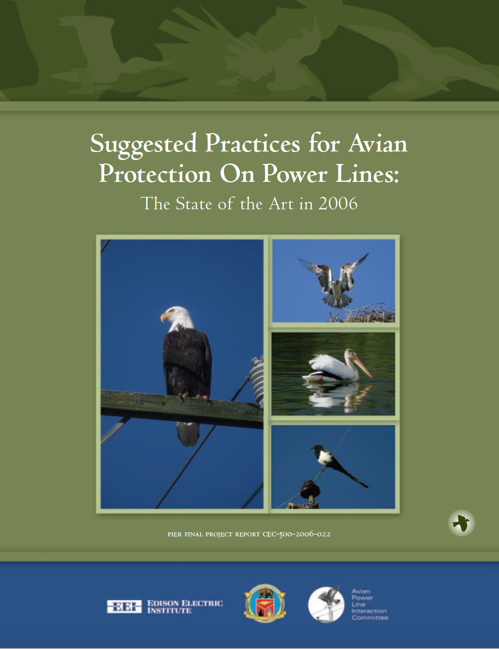 Suggested Practices for Avian Protection on Power Lines: The State of the Art in 2006